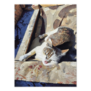 Charmante Katze Entspannen in Sonnenlicht Fotodruck