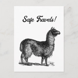 Charmante Lama Sketch, Süße Tier Tinte Zeichnend Postkarte