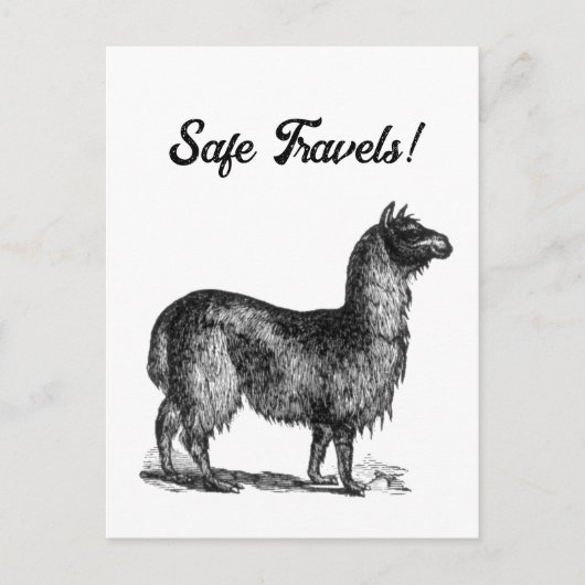 Charmante Lama Sketch, Süße Tier Tinte Zeichnend Postkarte (Vorderseite)