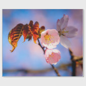 Charmante Sakura-Blüten Geschenkpapier (Flach)