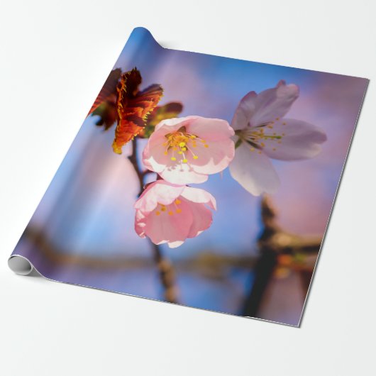 Charmante Sakura-Blüten Geschenkpapier (Ungerollt)
