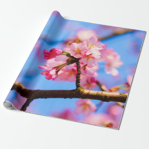 Charmante Schönheit der Sakura-Blume im Frühjahr Geschenkpapier