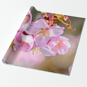Charmante und Coole Blume der Sakura Geschenkpapier