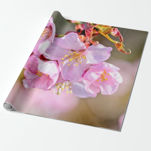 Charmante und Coole Blume der Sakura Geschenkpapier (Ungerollt)