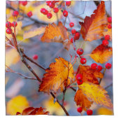 Charmante Waldbeeren im Herbst Duschvorhang (Vorderseite)