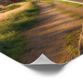 Charmanter Beagle in rustikaler Landschaft Poster (Ecke)