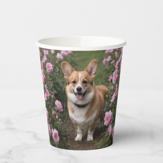 "Charmanter Begleiter: Ein Corgi in einem rosa Ros Pappbecher (Links)