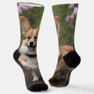 "Charmanter Begleiter: Ein Corgi in einem rosa Ros Socken
