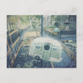 Charmanter Frühlingspark Postkarte (Vorderseite)