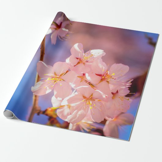 Charmanter Haufen Sakura-Blume im Frühjahr Geschenkpapier (Ungerollt)