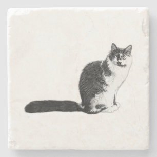 Charmanter Langhaarkatze-Untersetzer Steinuntersetzer