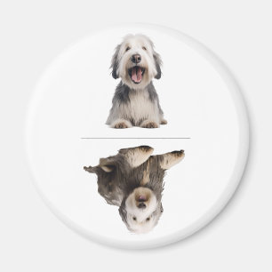 Charmanter Old English Sheepdog Geschirrspülmagnet Magnet