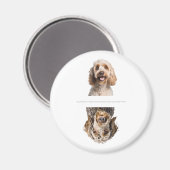 Charmantes Cockapoo Sauberkeit/Geschirrspüler Magnet (Vorderseite/Rückseite)