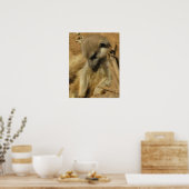 Charmantes Foto einer Meerkat Poster (Küche)