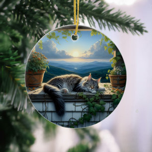 Charmantes Maine-Coon-Andenken Keramik Ornament
