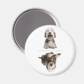 Charmantes Old English Sheepdog Geschirrmagazin Magnet (Vorderseite/Rückseite)