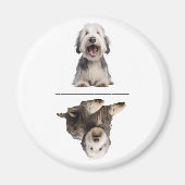 Charmantes Old English Sheepdog Geschirrmagazin Magnet (Vorne)