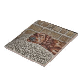 Charme Fliese (Seite)