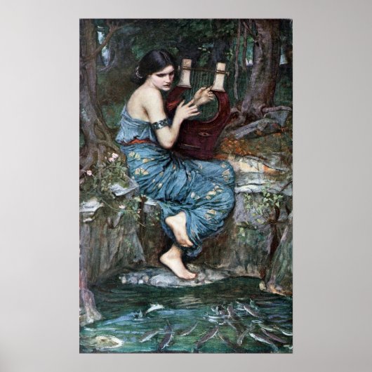 Charmer - Wasserhaus Poster (Vorne)