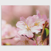 Charmin Sakura Blume auf Rosa, Rosa, Rosa Geschenkpapier (Flach)