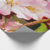 Charmin Sakura Blume auf Rosa, Rosa, Rosa Geschenkpapier (Ecke)