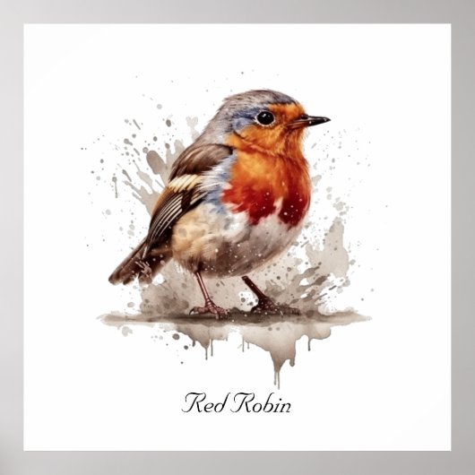 Charming Backyard Robin, Brauch Poster (Vorne)