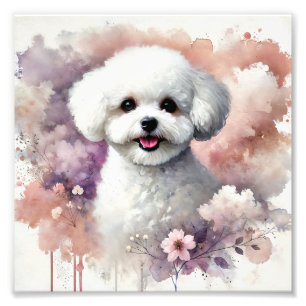 Charming Bichon Frise Wasserfarbenprägen Fotodruck