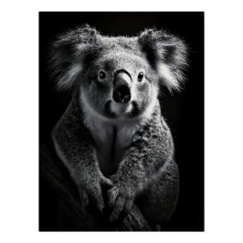 Charming Black & White Koala Fine Art Print | Poster