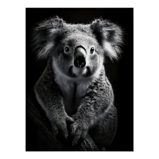 Charming Black & White Koala Fine Art Print | Poster (Vorderseite)
