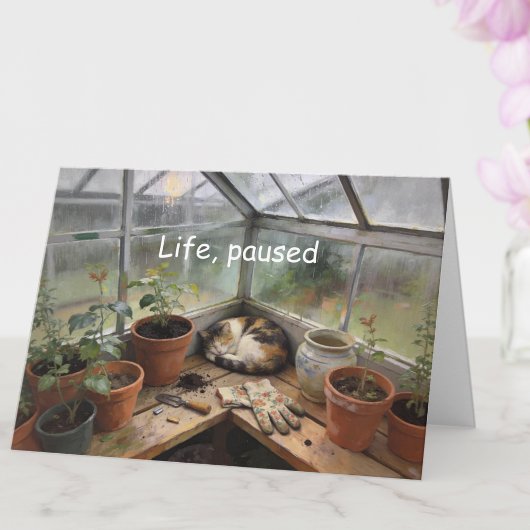 Charming Catnap in Greenhouse Encouragement Card Karte