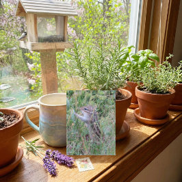 Charming-Chipmunk im Sommer auf der Wiese-Postkart Feiertagspostkarte