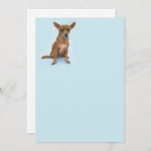 Charming Chiweenie Note Card Mitteilungskarte (Vorne/Hinten)