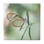 Charming Clear-Wing Butterfly Fliese (Vorderseite)
