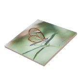 Charming Clear-Wing Butterfly Fliese (Seite)