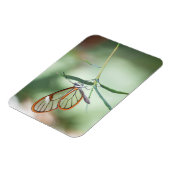 Charming Clear-Wing Butterfly Magnet (Linke Seite)