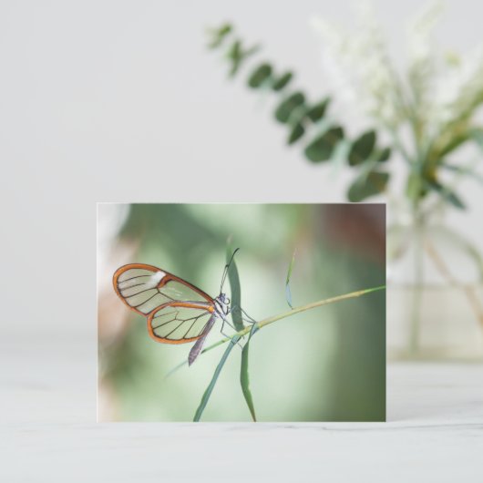 Charming Clear-Wing Butterfly Postkarte (Stehend Vorderseite)