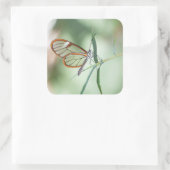 Charming Clear-Wing Butterfly Quadratischer Aufkleber (Tasche)