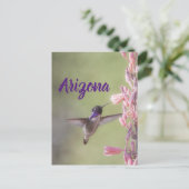 Charming Costa's Hummingbird , Arizona Postkarte (Stehend Vorderseite)