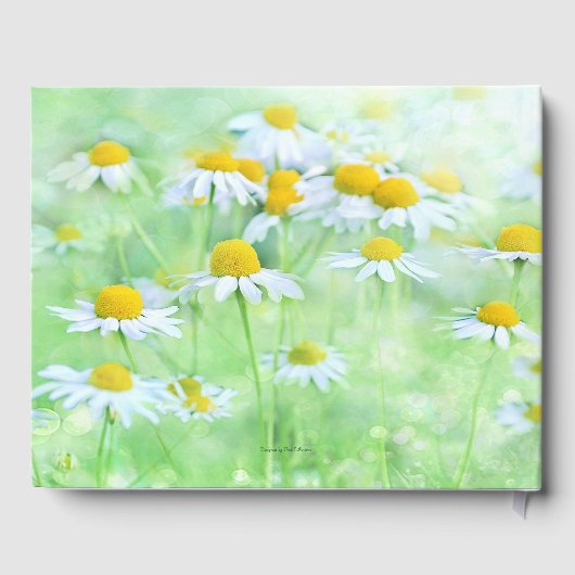 Charming Daisy, Script-Schriftart Gästebuch (Rückseite)