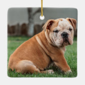 Charming English Bulldog Puppy Keramikornament (Rückseite)