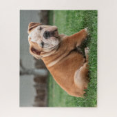 Charming English Bulldog Puppy Puzzle (Vertikal)