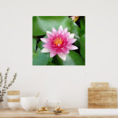 Charming Fuchsia Water Lily Poster (Küche)