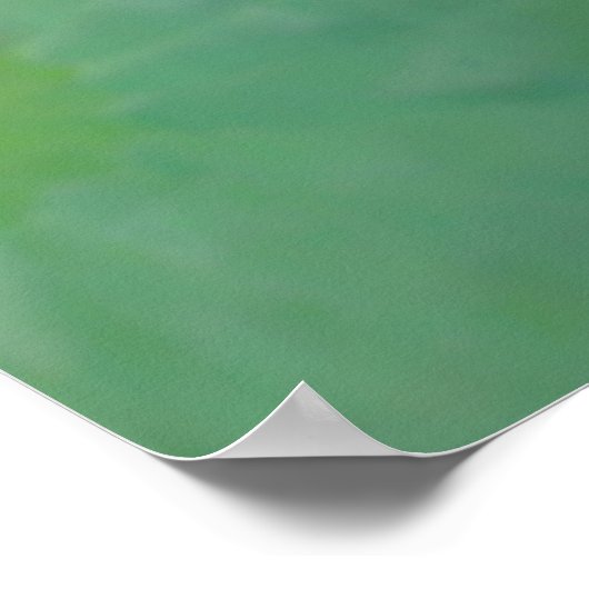 Charming Fuchsia Water Lily Poster (Ecke)