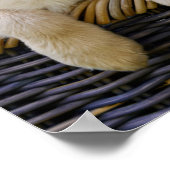 Charming Golden Retriver, ein Niedliches Welpenhun Poster (Ecke)