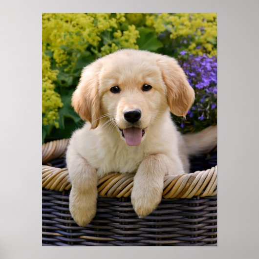 Charming Golden Retriver, ein Niedliches Welpenhun Poster (Vorne)