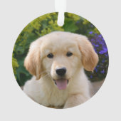 Charming Goldie Retriever Doppy - Ornament (Rückseite)