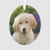 Charming Goldie Retriever Doppy - Ornament (Vorderseite)