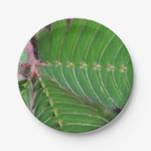 Charming Little Green Leaf Papierplatte Pappteller (Vorderseite)