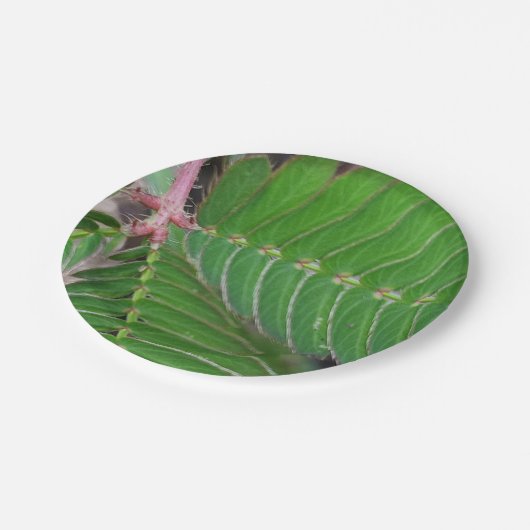 Charming Little Green Leaf Papierplatte Pappteller (Schrägansicht)