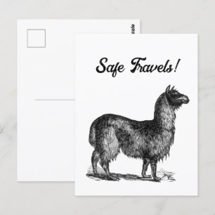 Charming Llama Skizze, Süße Tier Tintenzeichnung Postkarte
